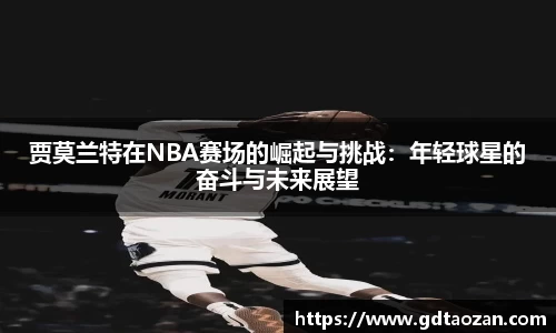 完美电竞官网